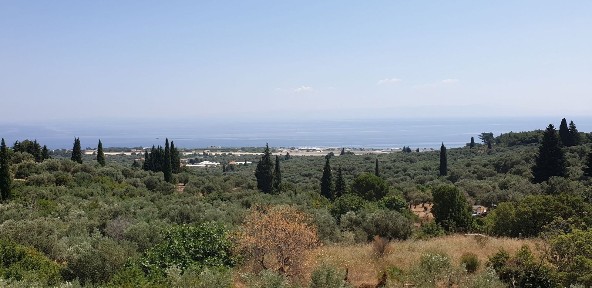 Κράτηγος, Λέσβος - Μυτιλήνη (Ν. Λέσβου)