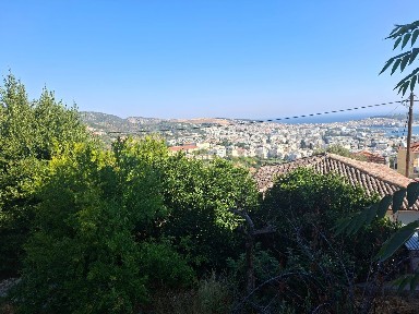 Άνω Χάλικας, Λέσβος - Μυτιλήνη (Ν. Λέσβου), Ράχη, Ράχη 81132