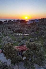 Λέσβος - Πλωμάρι (Ν. Λέσβου), XC+MV, Πλωμάρι, Ελλάδα