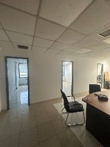 Τζιτζιφιές, Καλλιθέα (Αθήνα - Νότια Προάστια), Λεωφόρος Βενιζέλου Ελευθερίου 297, Καλλιθέα 17674