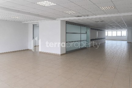 Τζιτζιφιές, Καλλιθέα (Αθήνα - Νότια Προάστια)