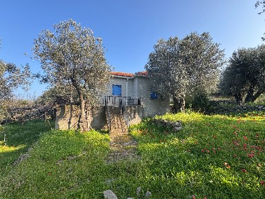 Μονοκατοικία, 60τ. μ.
