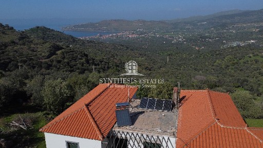 Λαφιώνας, Λέσβος - Πέτρα (Ν. Λέσβου), Επ. Οδός Λαφιώνας-Μήθυμνα, Λέσβος 81109