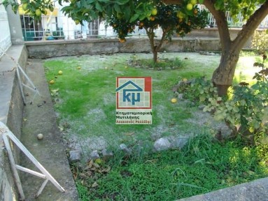 Μονοκατοικία, 550τ. μ.