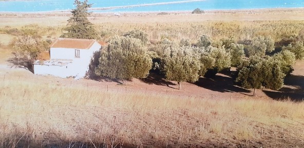 Καλλονή, Λέσβος - Καλλονή (Ν. Λέσβου)