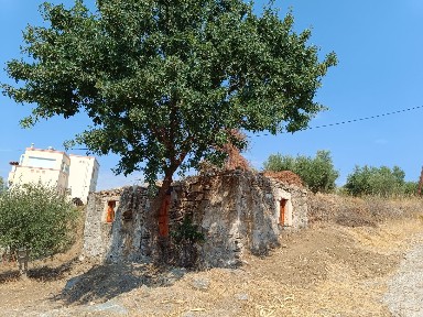 Δίκαιο - Ζηπάρι, Κως (Δωδεκάνησα), Επαρχιακή Οδός Ζιπαρίου-Ασφενδιού, 853 00 Δίκαιο