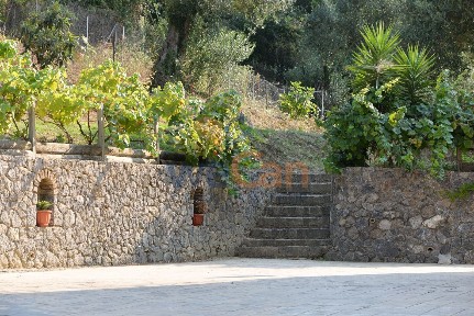 Συγκρότημα διαμερισμάτων, 330τ. μ.