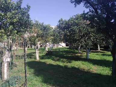 Εσπερίες, Κέρκυρα (Ν. Κέρκυρας)