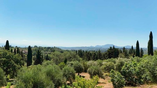 Φαίακες, Κέρκυρα (Ν. Κέρκυρας), Ep. Odos Agiou Vasileiou-Sfakeron, Kato Korakiana 49083
