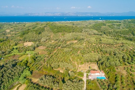 Λευκίμμη, Κέρκυρα (Ν. Κέρκυρας), ΔΡΑΓΟΤΙΝΑ