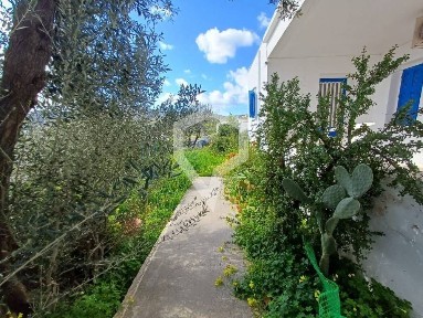 Σύρος (Κυκλάδες)