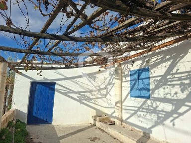 Σύρος (Κυκλάδες)