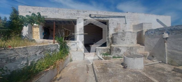 Σύρος (Κυκλάδες)