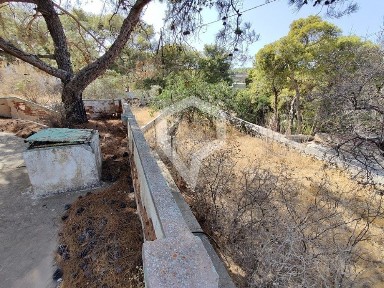 Σύρος (Κυκλάδες)