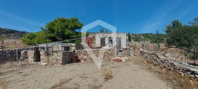 Σύρος (Κυκλάδες)