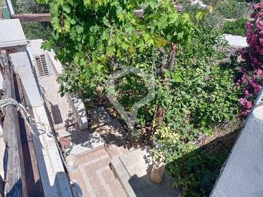 Σύρος (Κυκλάδες)