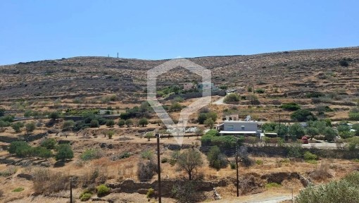 Σύρος (Κυκλάδες)