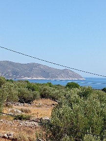 Άλικα, Οίτυλος (Λακωνία), Επ. Οδός Γερολιμένα-Ταίναρο, 230 62 Οίτυλο