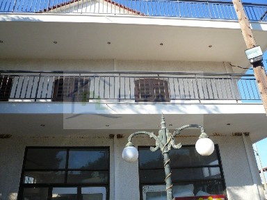 Δουναίικα, Αμαλιάδα (Ηλεία)