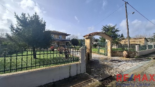 Φλοκαίικα, Αρχαία Ολυμπία (Ηλεία)