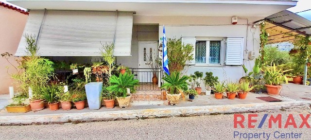 Κέντρο, Ζαχάρω (Ηλεία)