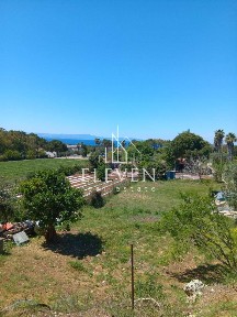 Αρκούδι, Βαρθολομιό (Ηλεία)