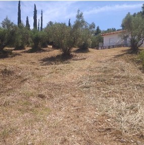 Κεραμιδιά, Αμαλιάδα (Ηλεία)