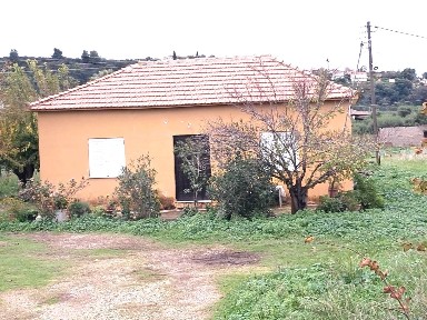 Καβούρι, Πύργος (Ηλεία), Παφιώλη Κωνσταντίνου 27150