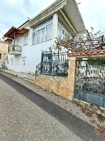 Πλάτανος, Αρχαία Ολυμπία (Ηλεία), Πύργου-Αρχαίας Ολυμπίας 27065
