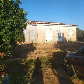 Λαμπέτι, Πύργος (Ηλεία)