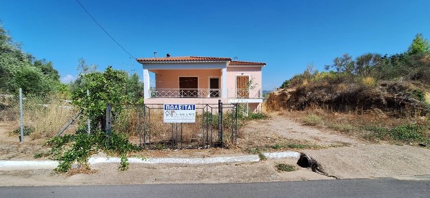 Ροζέικα, Πύργος (Ηλεία)