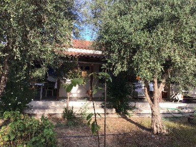 Κουρούτας, Αμαλιάδα (Ηλεία), Αγίου Αθανασίου, 272 00 Αμαλιάδα