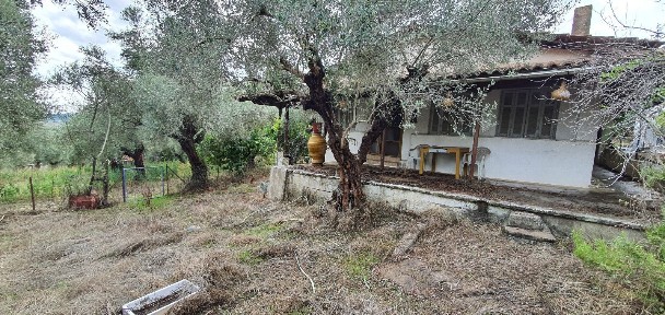 Μυρτιά, Πύργος (Ηλεία), Αναστασοπούλου Βασ., Μυρτέα 27150