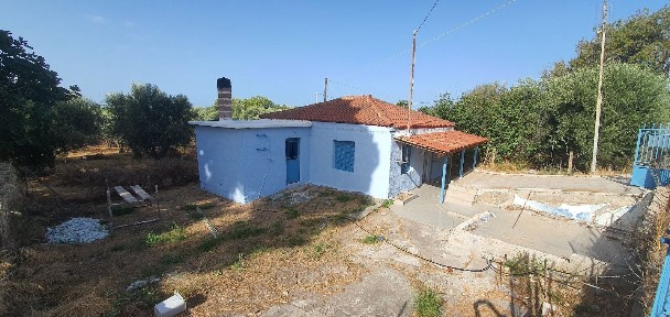Επιτάλιο, Βώλακας (Ηλεία)