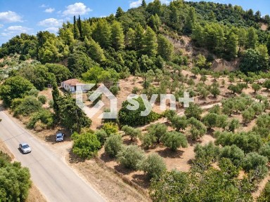 Μονοκατοικία, 60τ. μ.