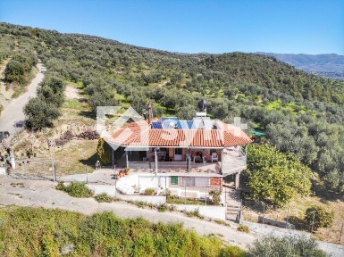 Κέντρο, Ζαχάρω (Ηλεία), 270 54, Ζαχάρω, Δυτική Ελλάδα