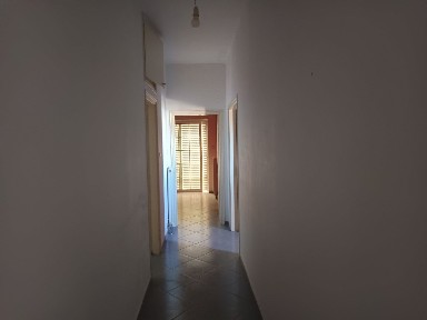 Κέντρο, Αμαλιάδα (Ηλεία)