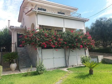 Πλάτανος, Αρχαία Ολυμπία (Ηλεία), Πύργου-Αρχαίας Ολυμπίας