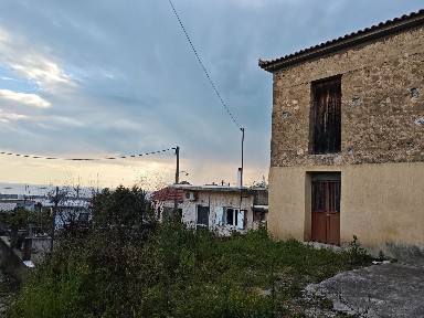 Ξηροχώρι, Ζαχάρω (Ηλεία), Ξηροχώρι 27054