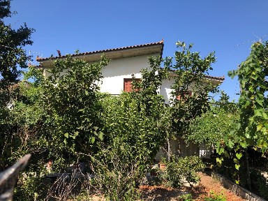 Καβάσιλας, Γαστούνη (Ηλεία), Εθνική Οδός Πατρών-Πύργου, 273 00 Γαστούνη