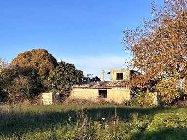 Ανδραβίδα (Ηλεία)
