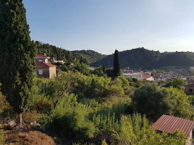 Αλφειούσα, Βώλακας (Ηλεία), Ηλεία, Βώλακας