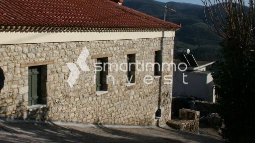Ζαχάρω (Ηλεία), Ζαχάρω, Αρτέμιδα