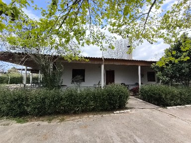 Κέντρο, Βαρθολομιό (Ηλεία)