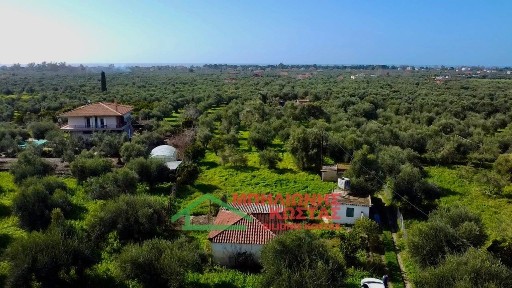 Κάμπος, Ζαχάρω (Ηλεία)