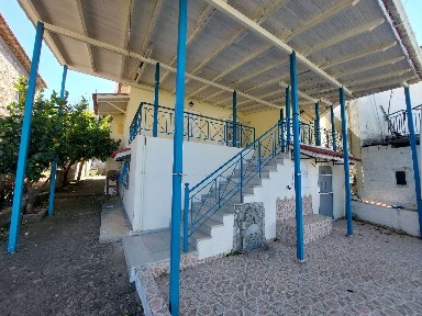 Μηλιά, Ζαχάρω (Ηλεία), Μηλέα, Μηλέα 27054