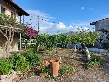 Κρέστενα, Σκιλούντα (Ηλεία), Κορυτσάς, Κρέστενα 27055