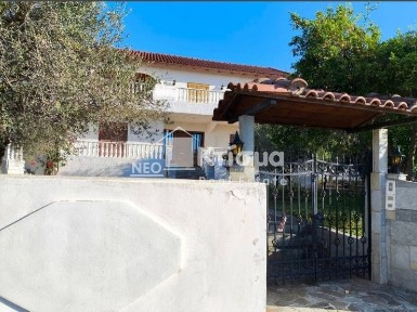 Άγιος Ιωάννης, Πύργος (Ηλεία)