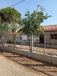 Σπιάντζα, Πύργος (Ηλεία), Λετρινα 17