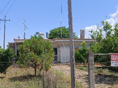 Μυρσίνη, Λεχαινά (Ηλεία), 28ης Οκτωβρίου, 270 53 Λεχαινά